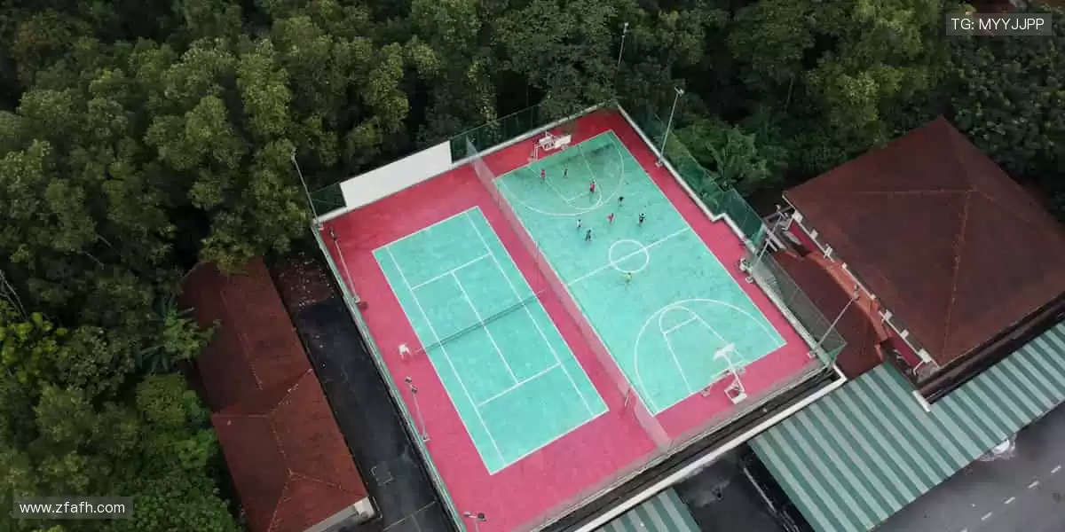 ✨ 下一个冠军，从点击开始！